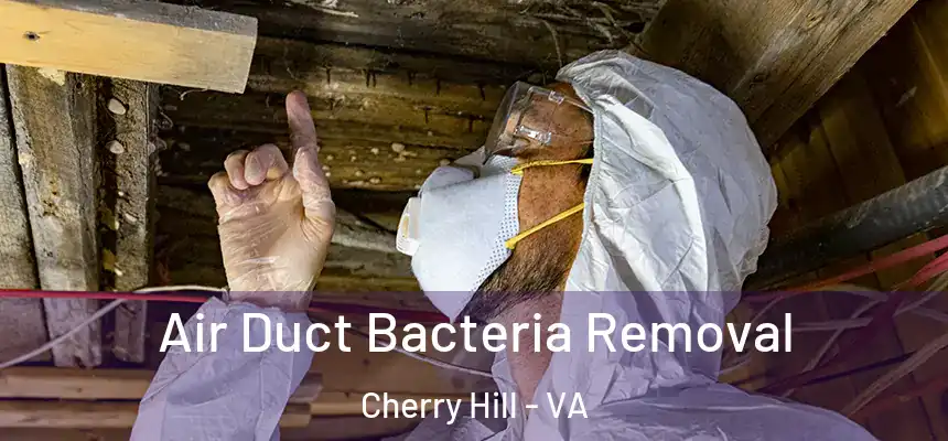  Air Duct Bacteria Removal Cherry Hill - VA