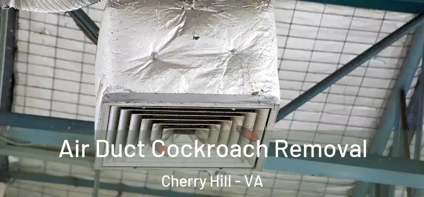  Air Duct Cockroach Removal Cherry Hill - VA