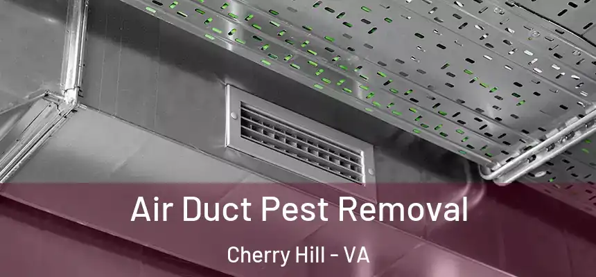  Air Duct Pest Removal Cherry Hill - VA