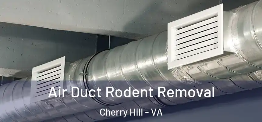  Air Duct Rodent Removal Cherry Hill - VA