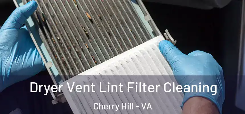  Dryer Vent Lint Filter Cleaning Cherry Hill - VA