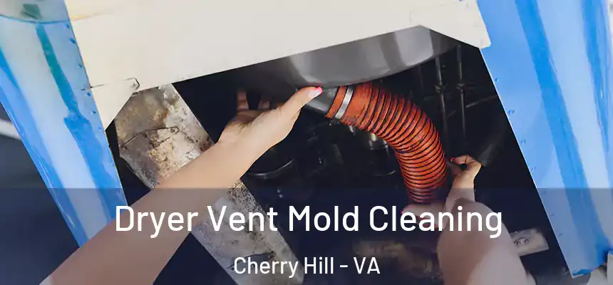  Dryer Vent Mold Cleaning Cherry Hill - VA