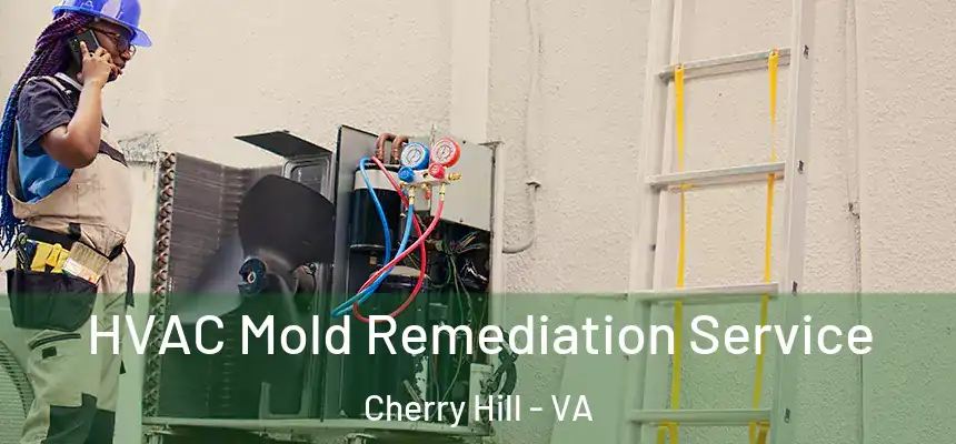  HVAC Mold Remediation Service Cherry Hill - VA