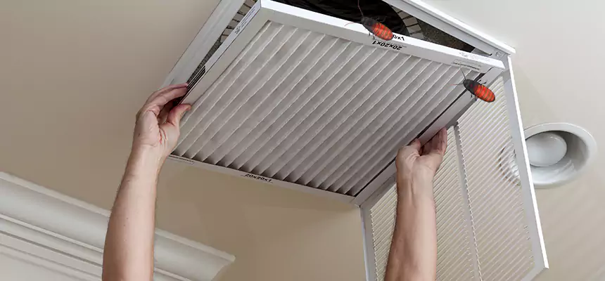Preventive Cockroach-Proofing for Ducts in Cherry Hill