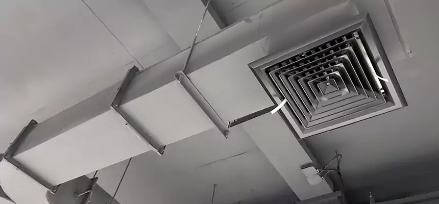 Restorative Allergy Relief Vent Cleaning – Coil, Blower & Housing Detail in Cherry Hill