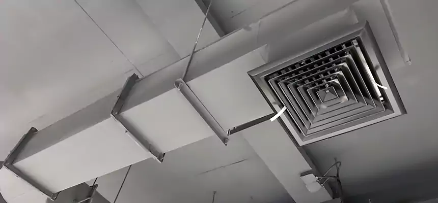 Our Pest Removal From Ducts Services in Cherry Hill, VA