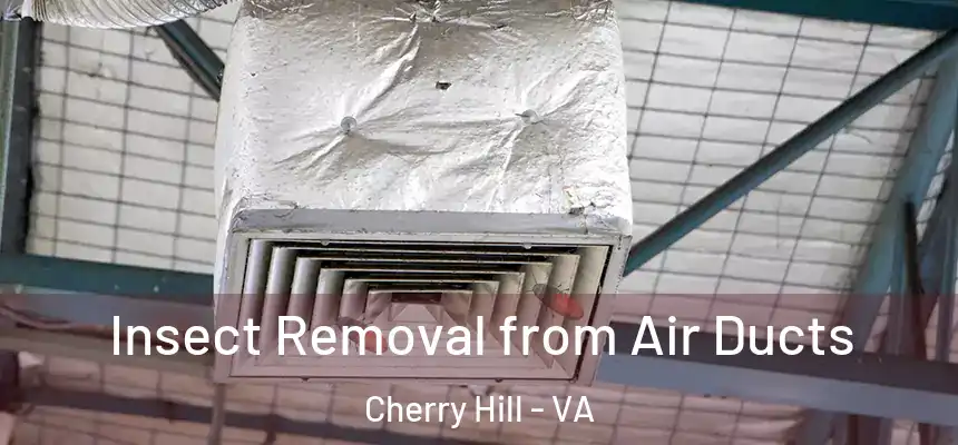  Insect Removal from Air Ducts Cherry Hill - VA