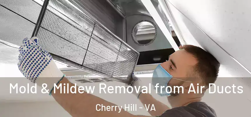  Mold & Mildew Removal from Air Ducts Cherry Hill - VA