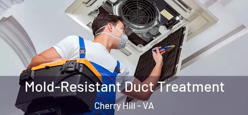  Mold-Resistant Duct Treatment Cherry Hill - VA