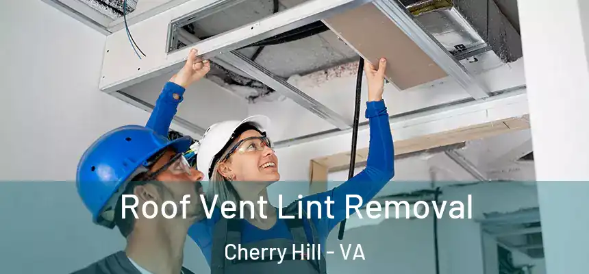  Roof Vent Lint Removal Cherry Hill - VA