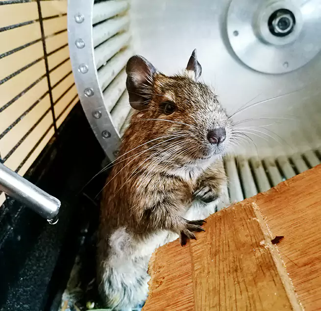 Why Homeowners & Businesses Trust Us Cherry Hill, VA